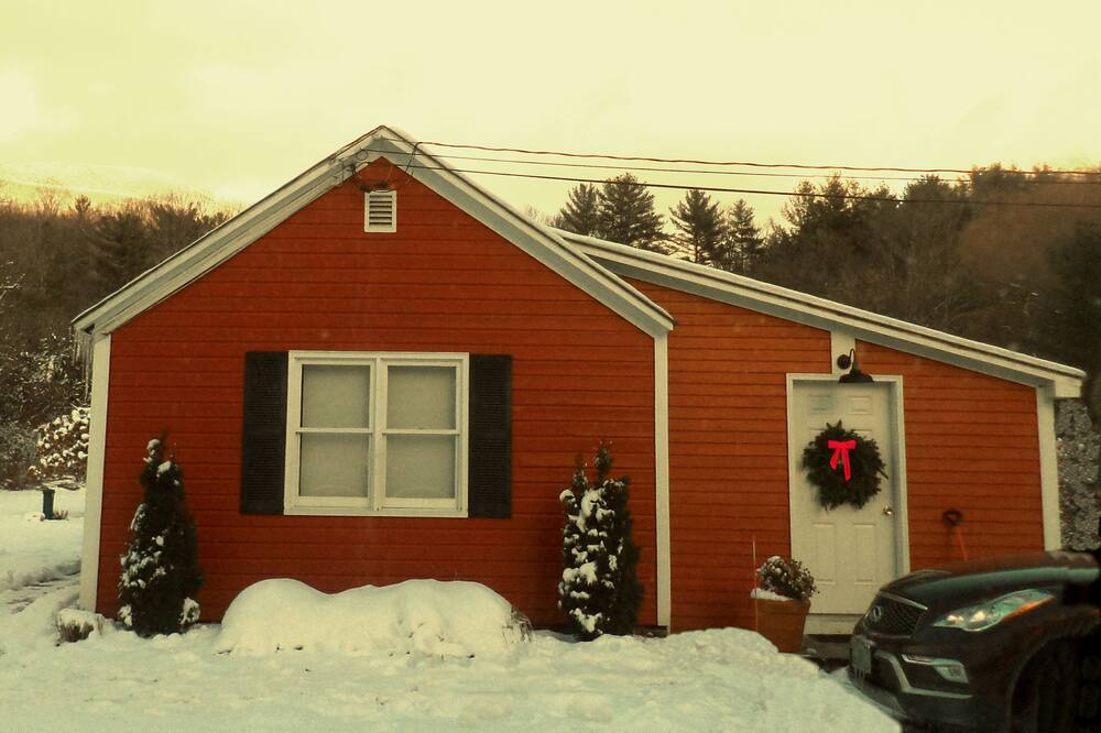 Photo of Others in Dorset