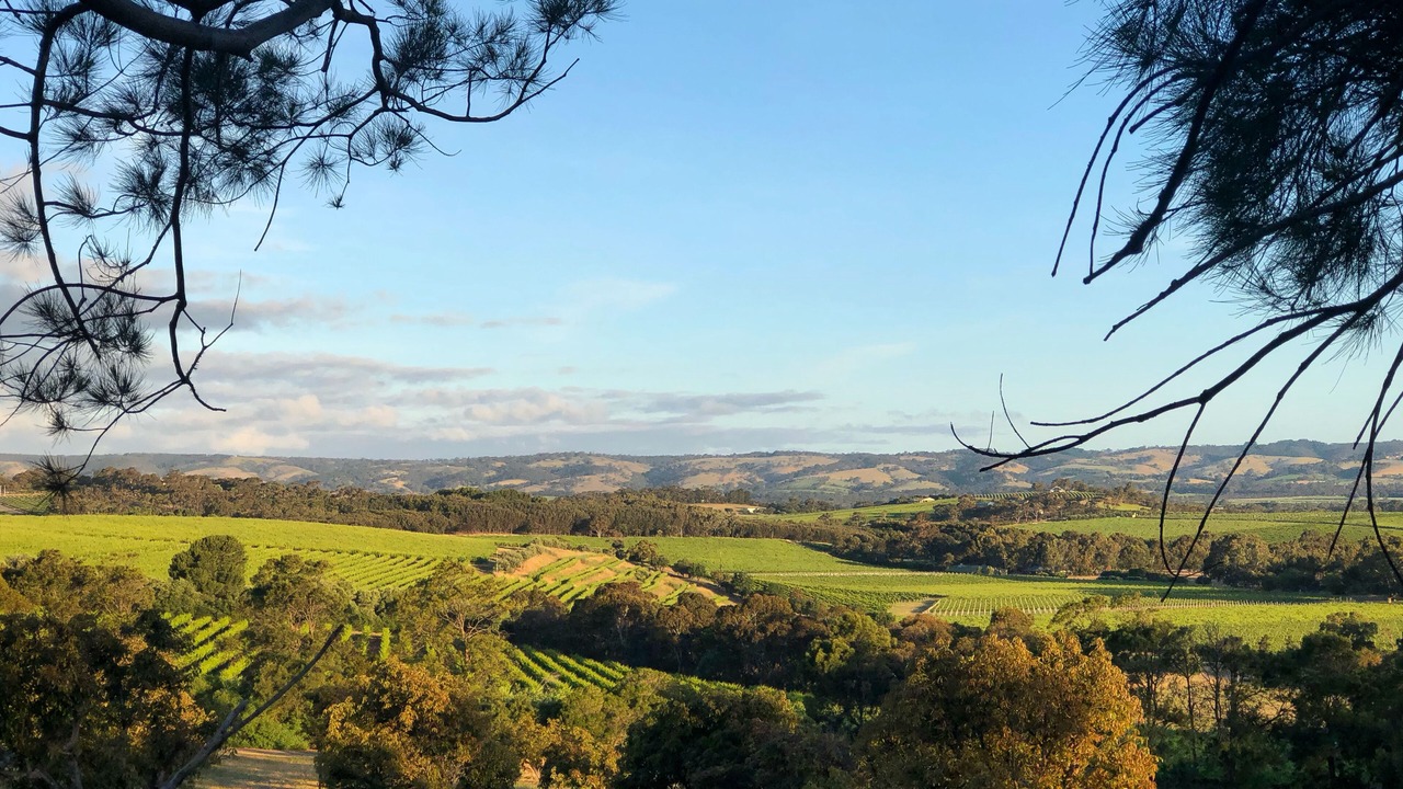 Photo of Outdoor in McLaren Vale