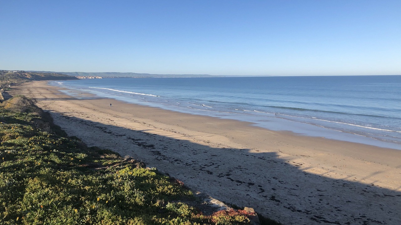 Photo of Others in McLaren Vale