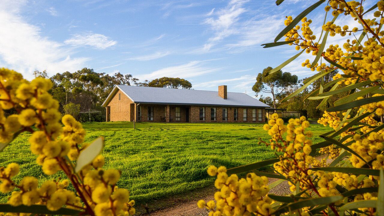 Photo of Outdoor in McLaren Vale