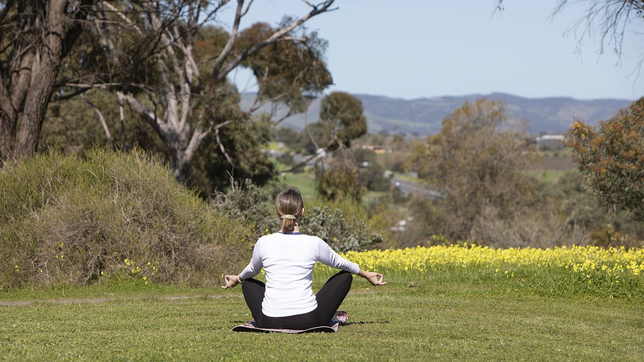 Photo of Others in McLaren Vale
