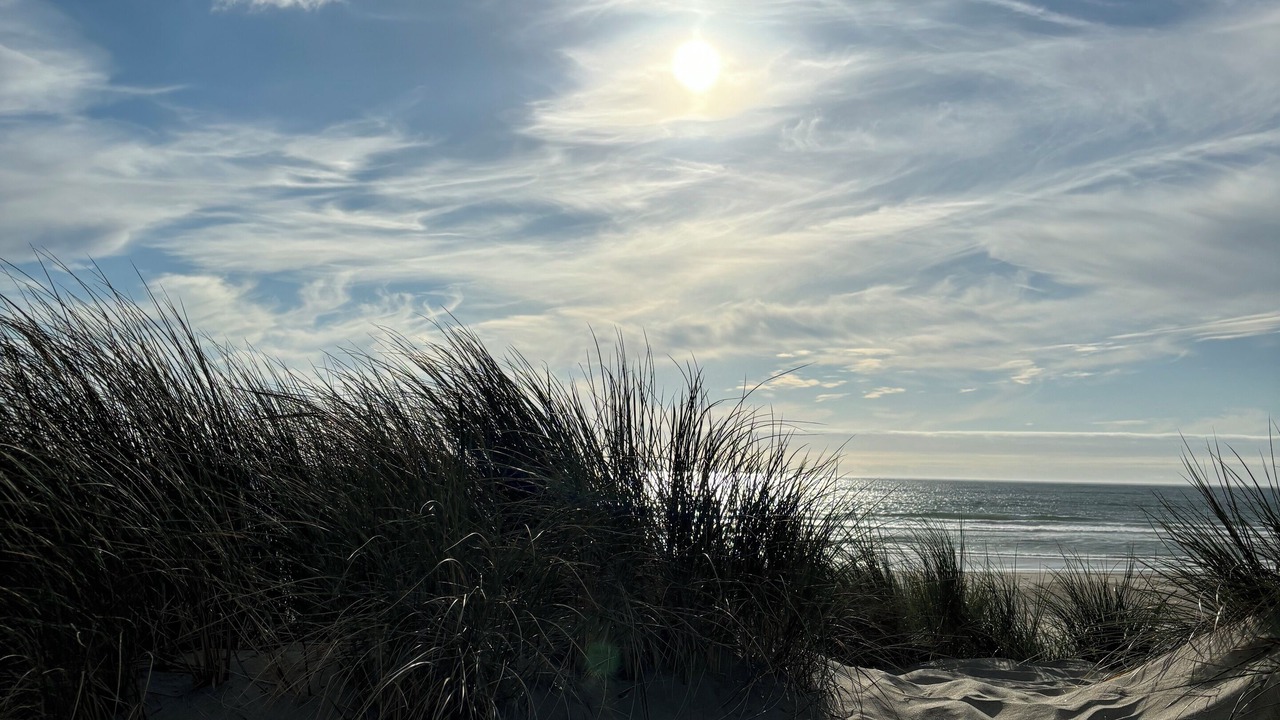 Photo of Others in Manzanita