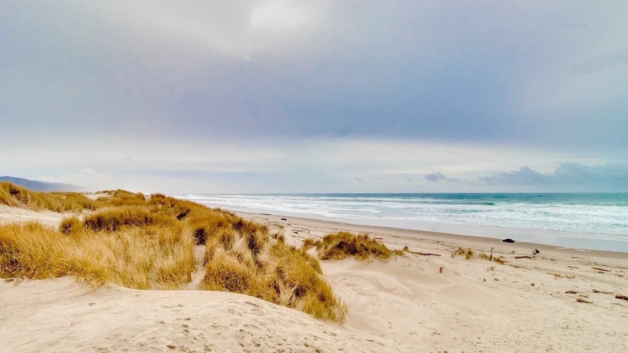 Photo of Others in Manzanita