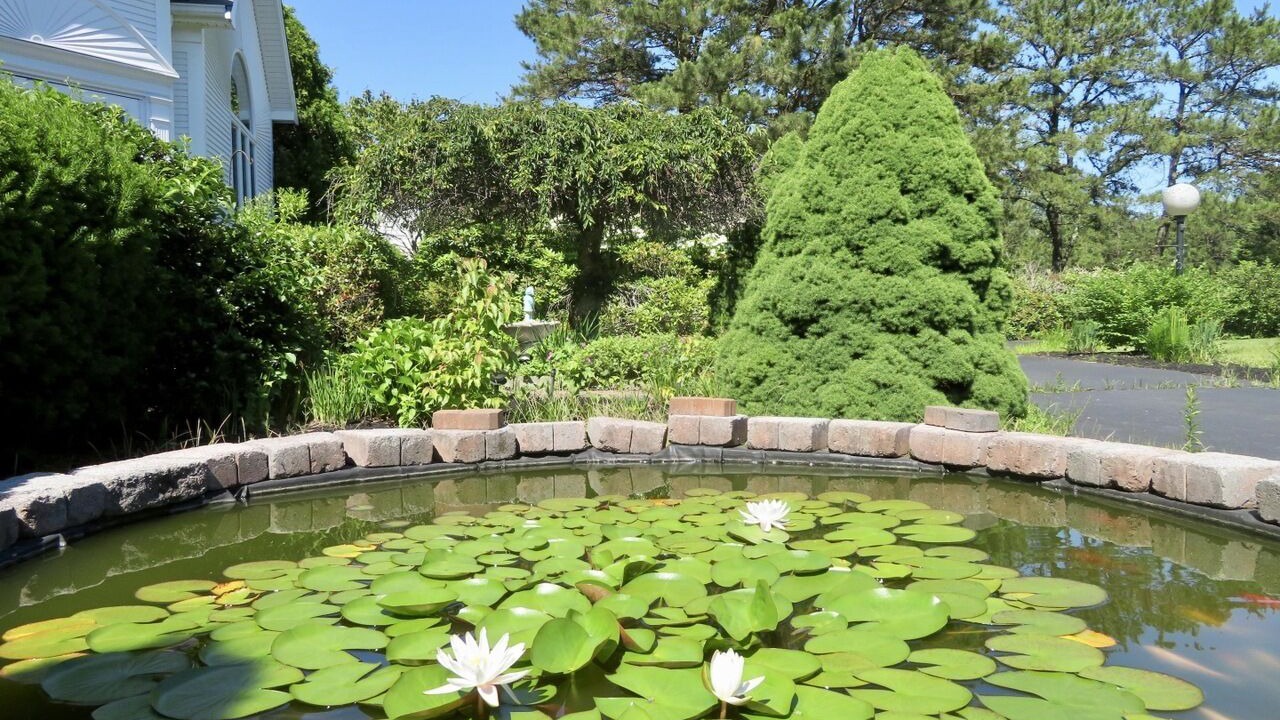 Photo of Outdoor in Sagamore