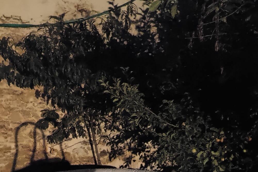 Photo of Others in Le Pont de Cirou