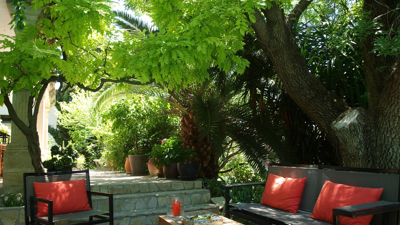 Photo of Outdoor in Lemasson