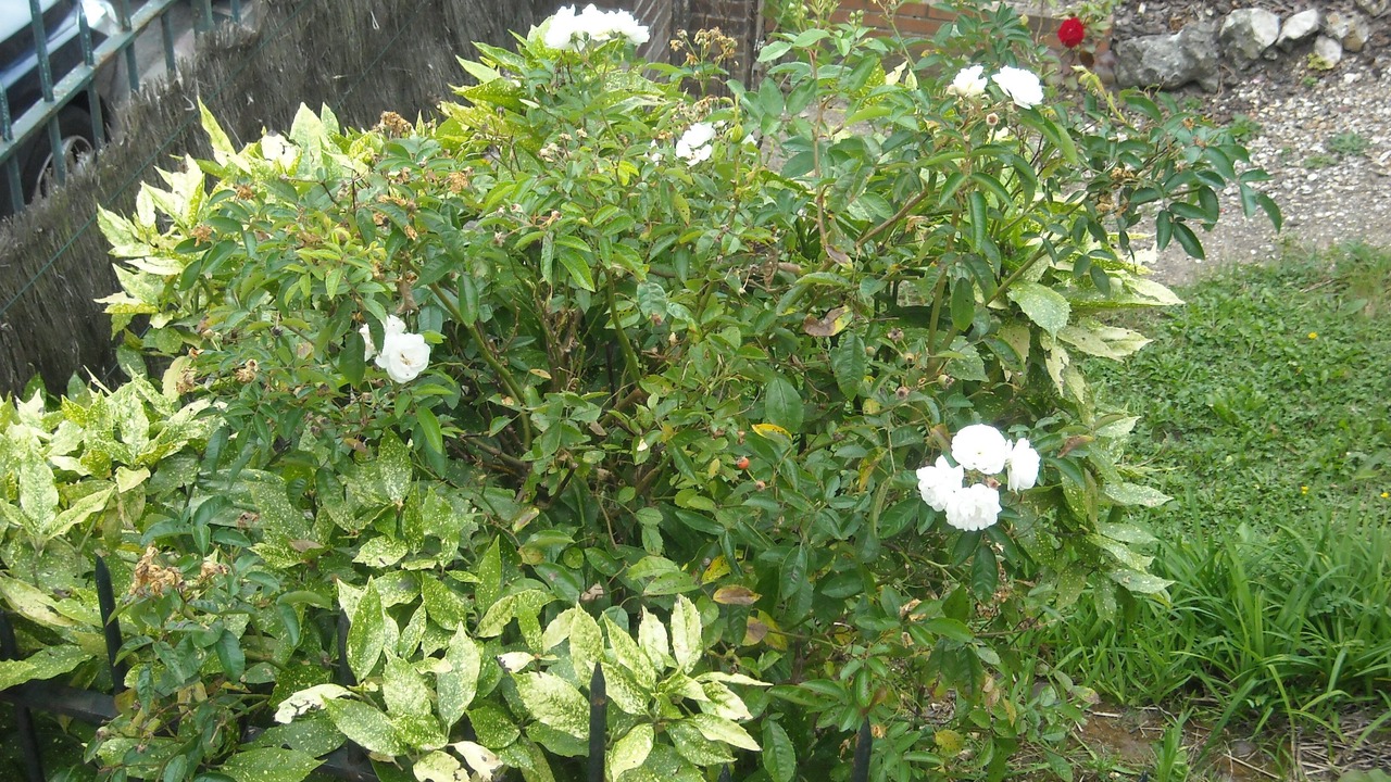 Photo of Outdoor in Coteaux Ouest