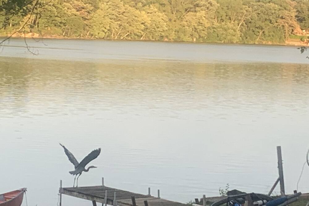 Photo of Outdoor in Lake Dalecarlia