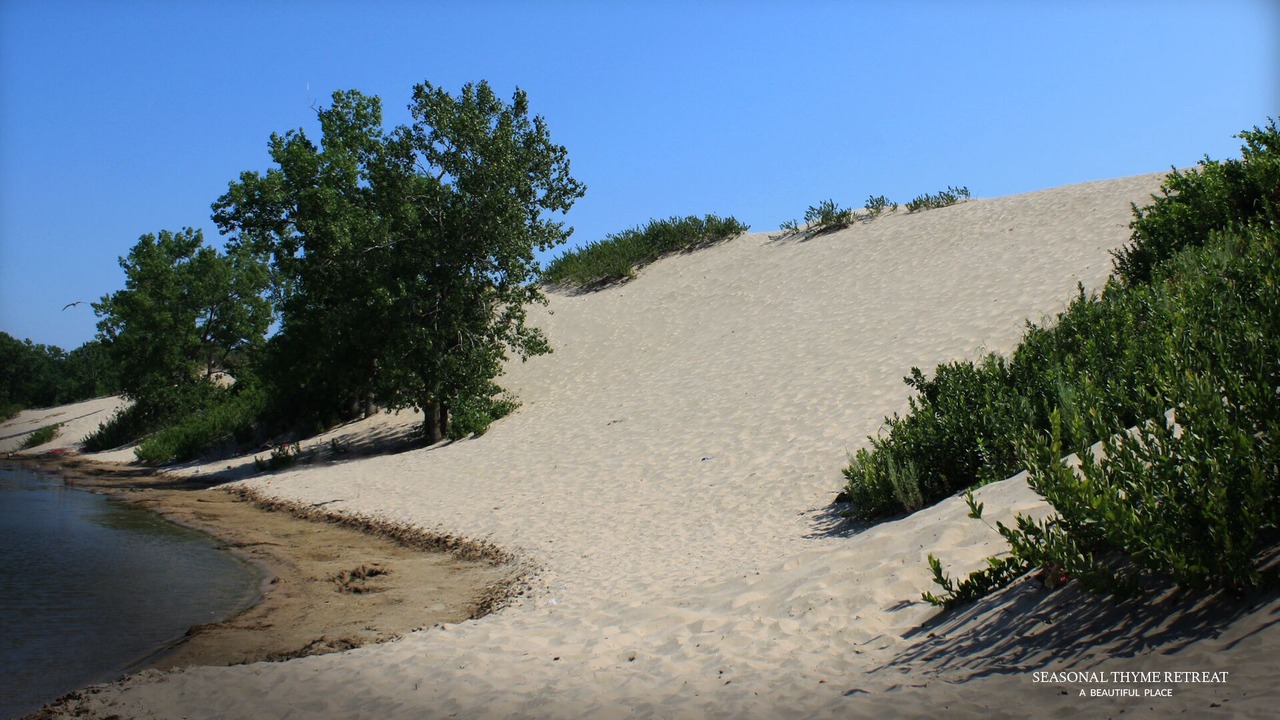 Photo of Others in Carrying Place