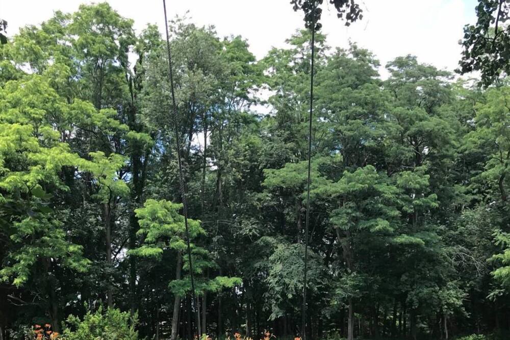 Photo of Others in Hollowville