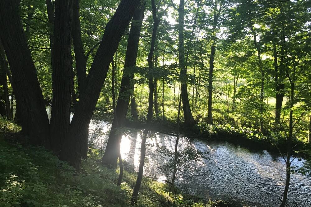 Photo of Others in Hollowville