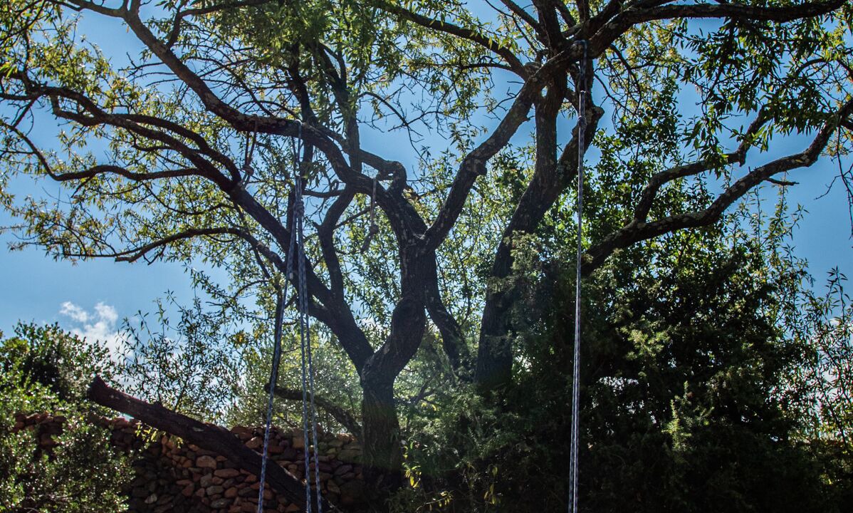 Photo of Outdoor in Opoul-Perillos