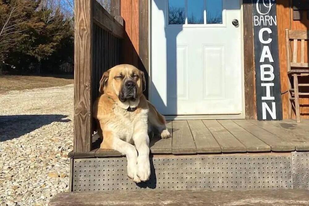 Photo of Outdoor in Huntsville