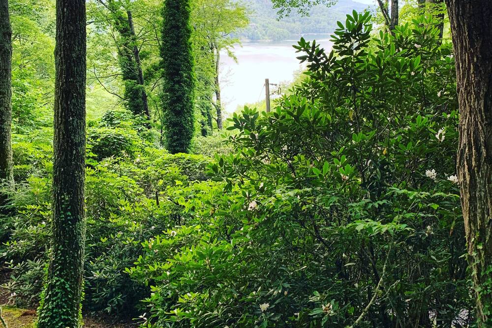 Photo of Outdoor in Cullowhee