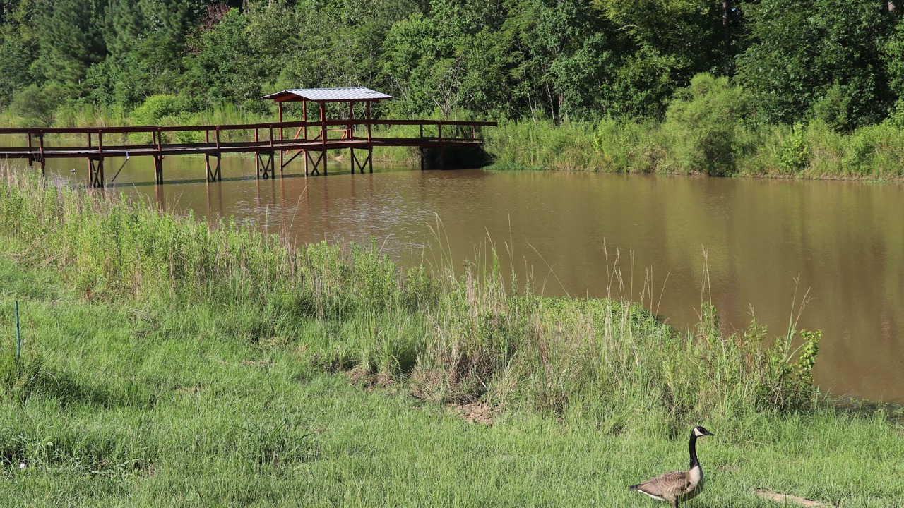 Photo of Outdoor in Shreveport
