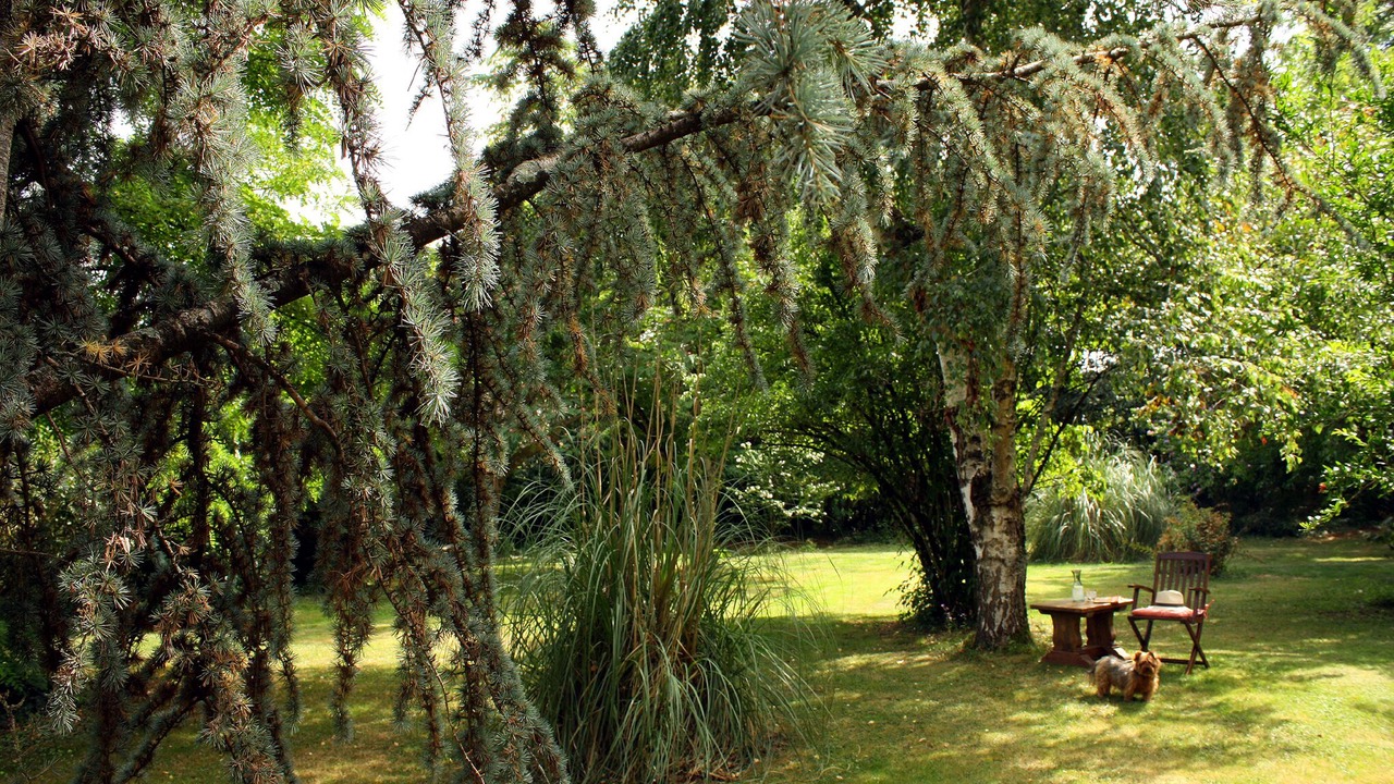 Photo of Outdoor in Mont-d'Astarac