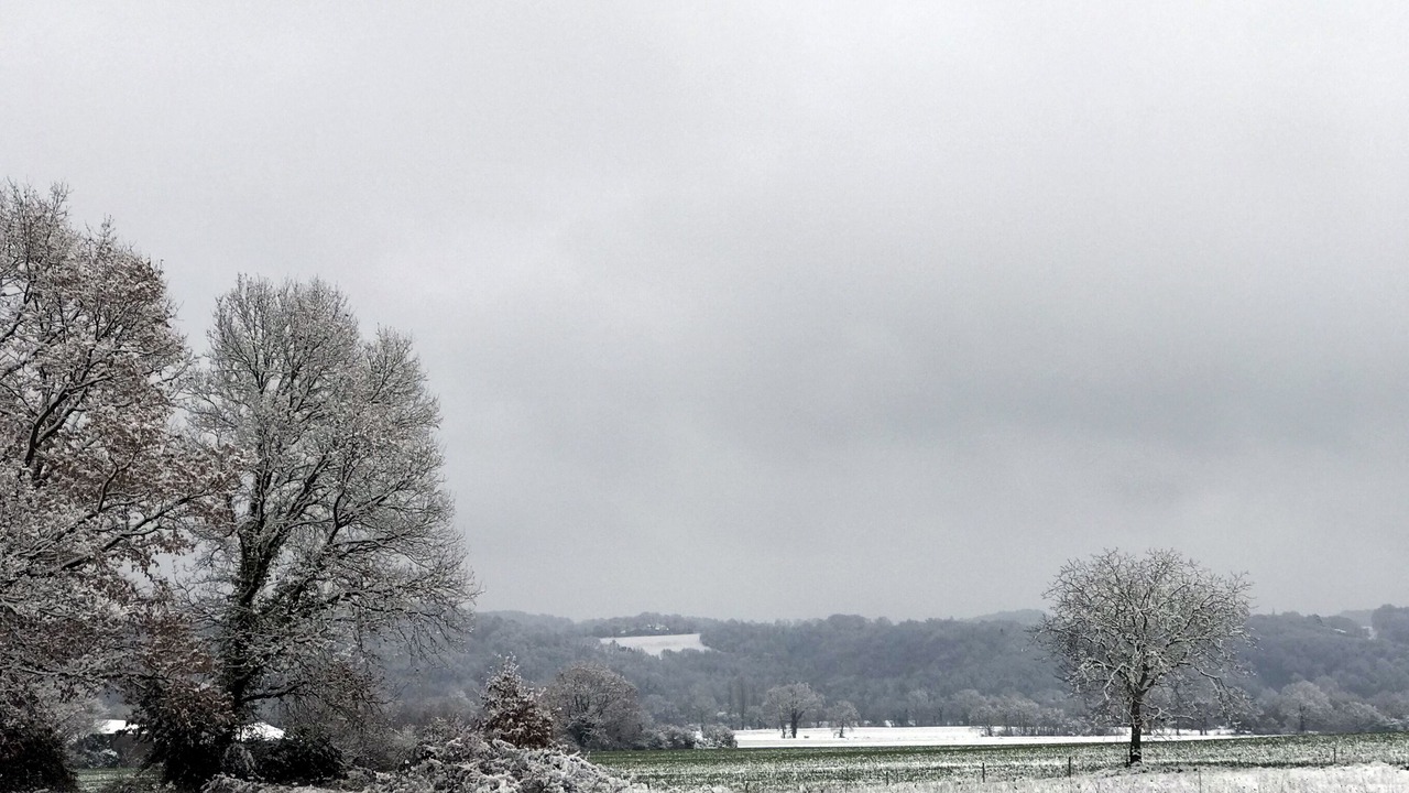 Photo of Others in Mont-d'Astarac