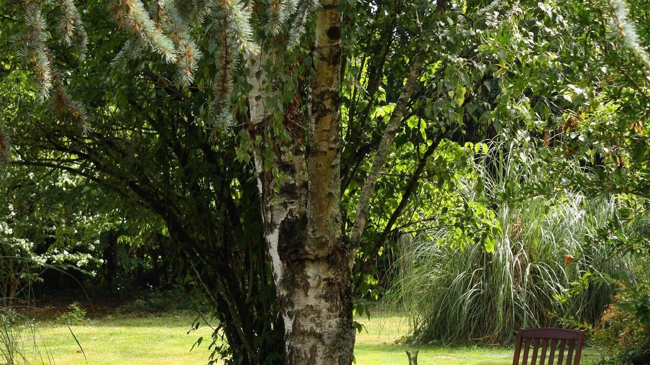 Photo of Outdoor in Mont-d'Astarac