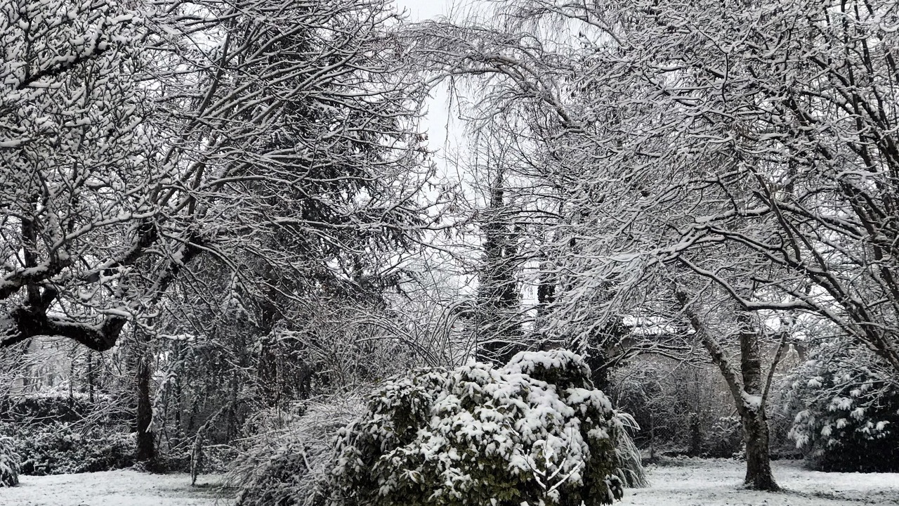 Photo of Outdoor in Mont-d'Astarac
