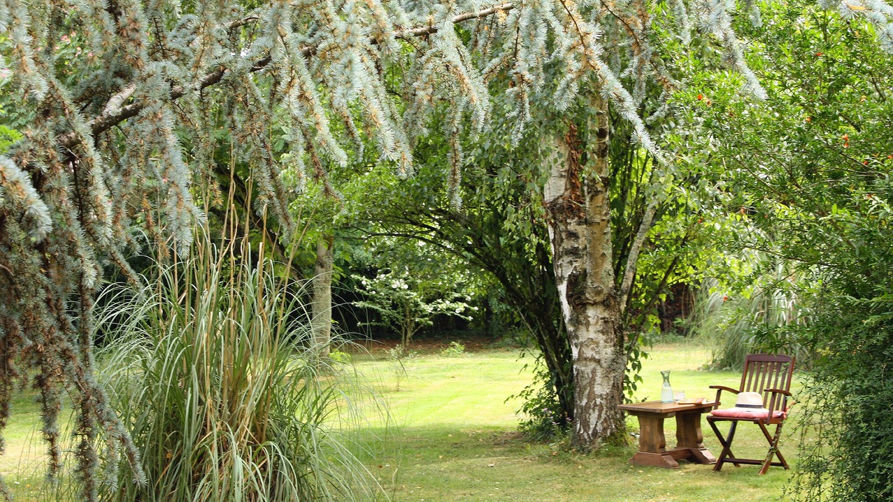 Photo of Outdoor in Mont-d'Astarac