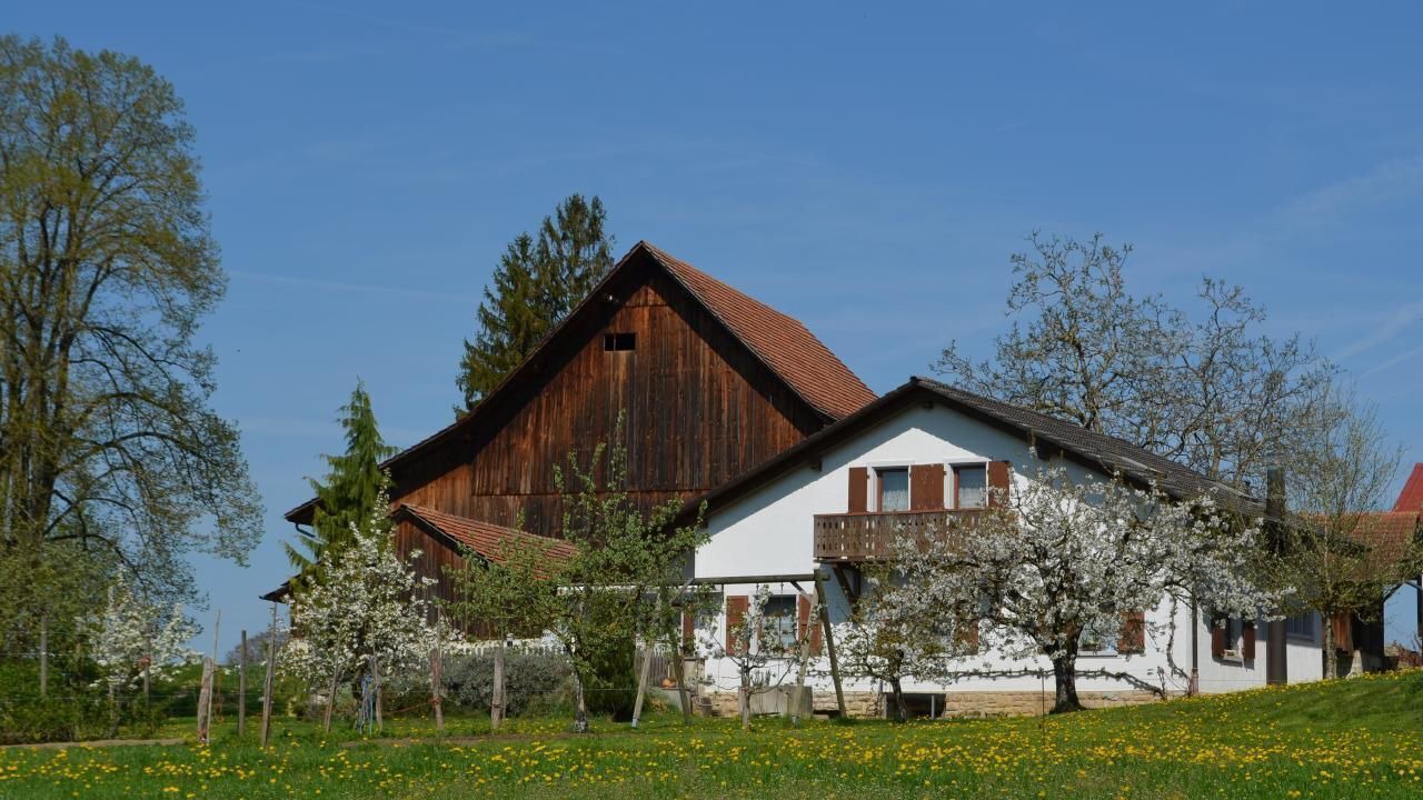 Photo of Outdoor in Haute-Ajoie