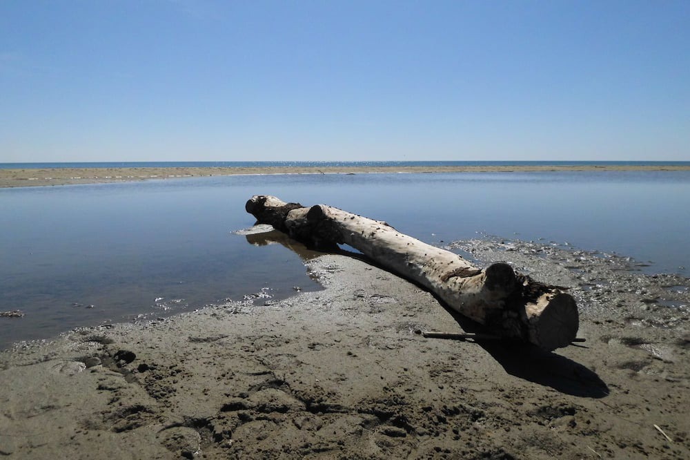 Photo of Others in Portel-des-Corbieres