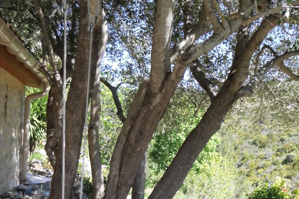 Photo of Outdoor in Portel-des-Corbieres