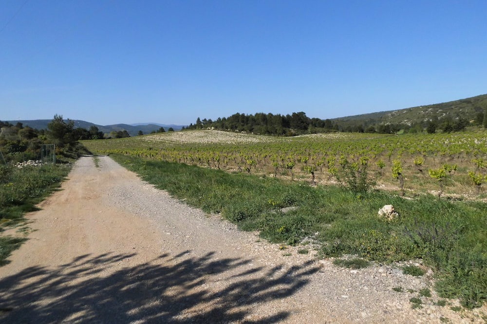 Photo of Outdoor in Portel-des-Corbieres