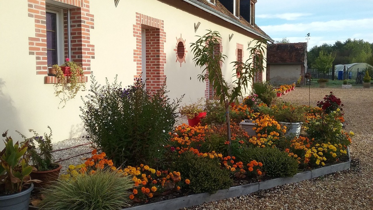 Photo of Outdoor in Mur-de-Sologne