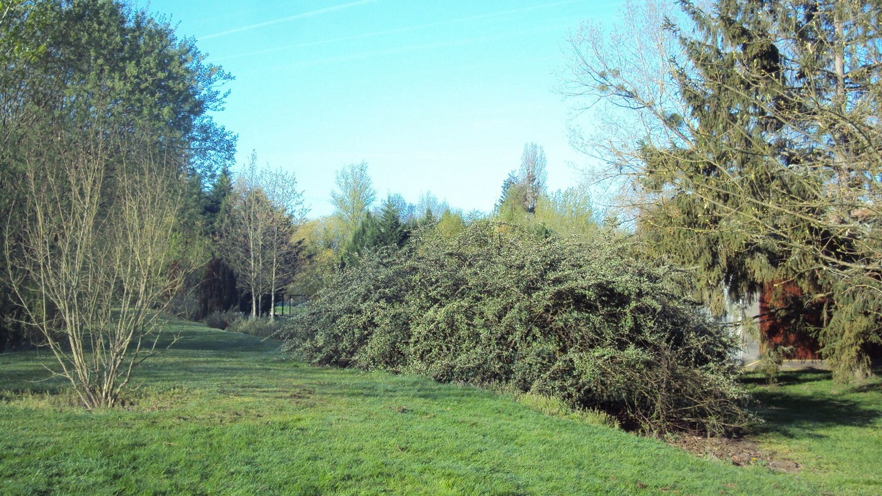 Photo of Outdoor in Mur-de-Sologne