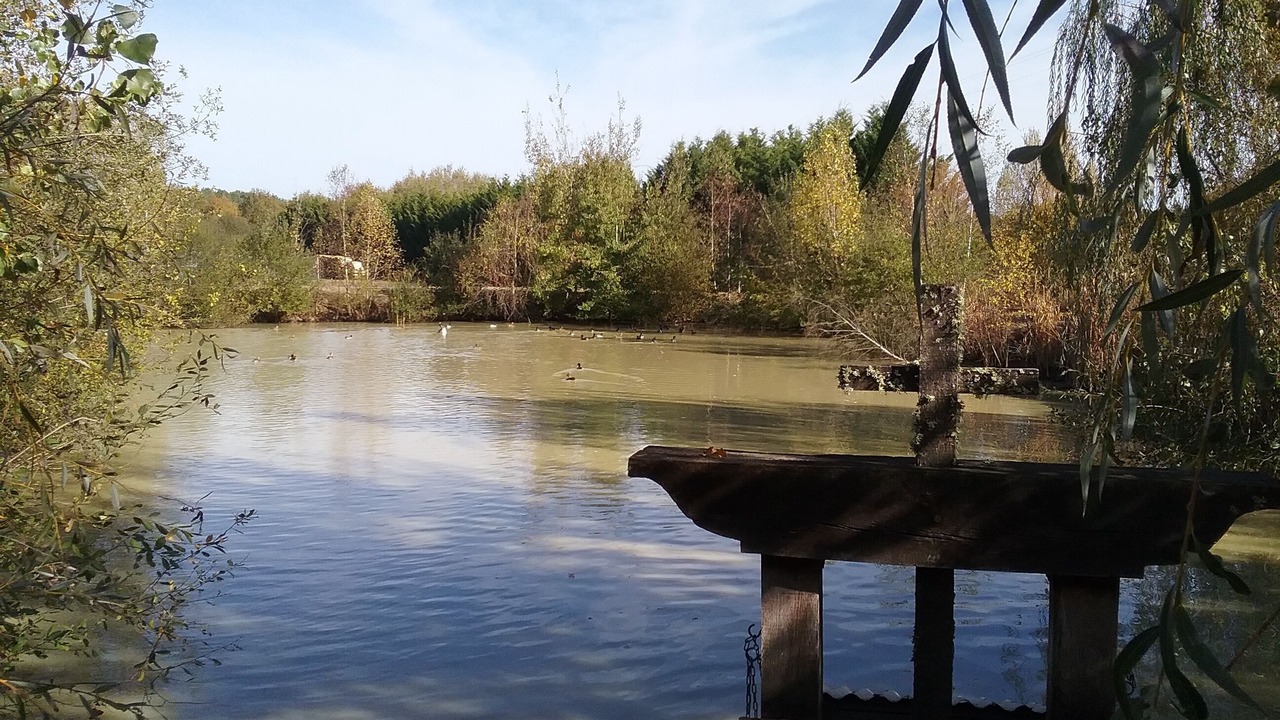 Photo of Outdoor in Mur-de-Sologne