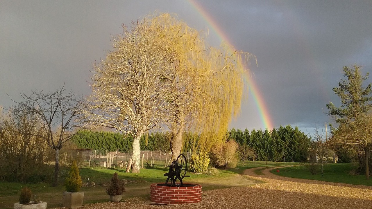 Photo of Outdoor in Mur-de-Sologne