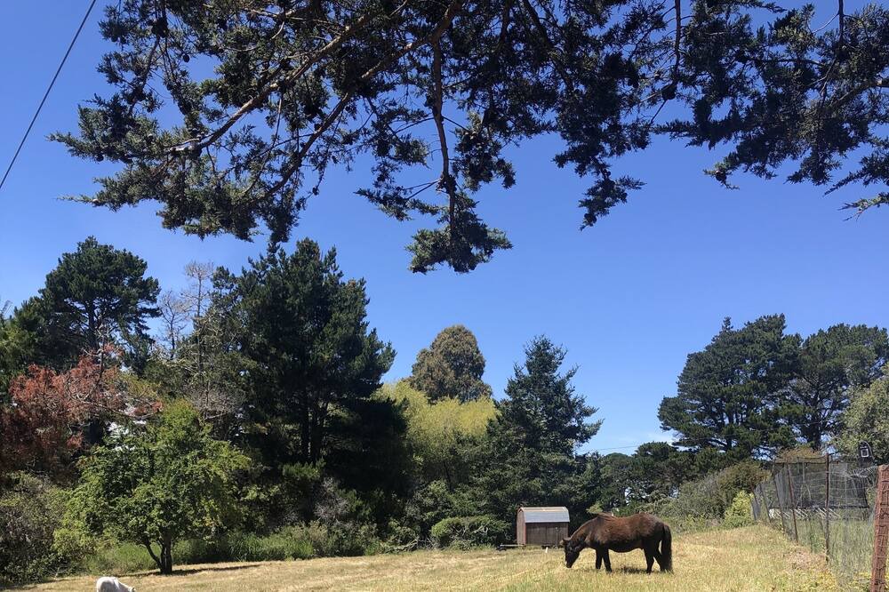 Photo of Others in Bolinas