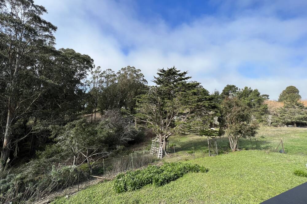 Photo of Others in Bolinas