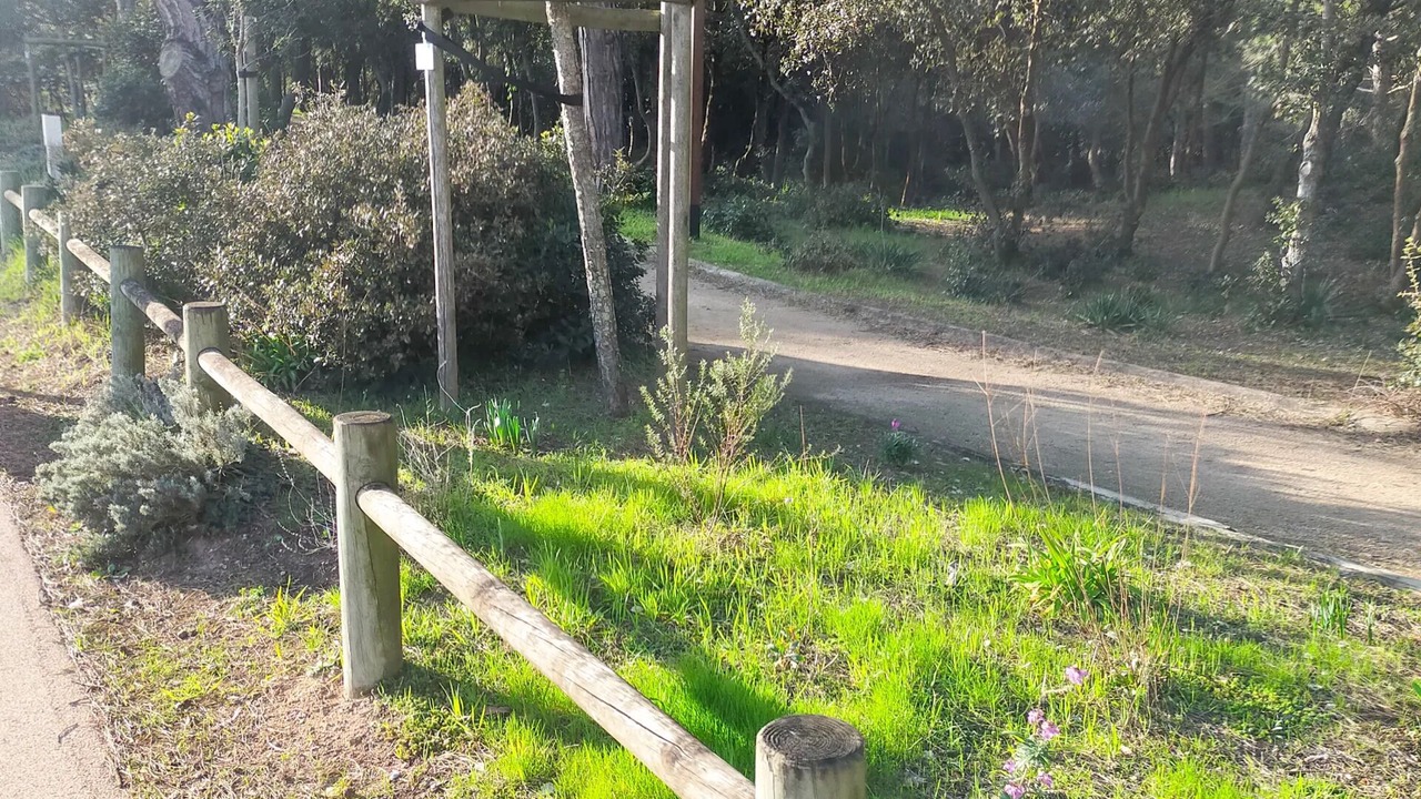 Photo of Outdoor in Notre-Dame-de-Monts