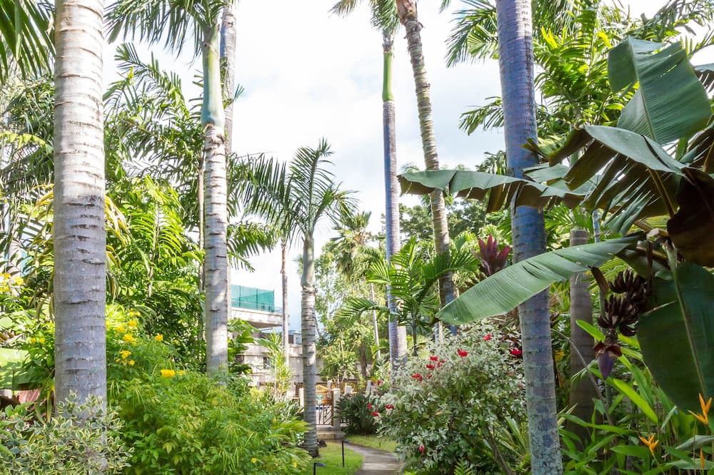 Photo of Outdoor in Poipu