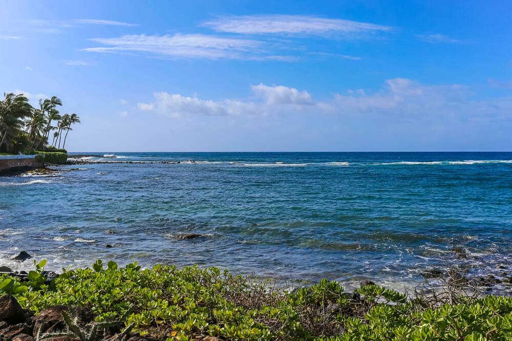 Photo of Others in Poipu