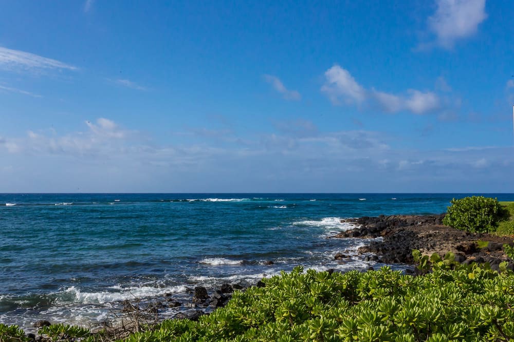 Photo of Others in Poipu