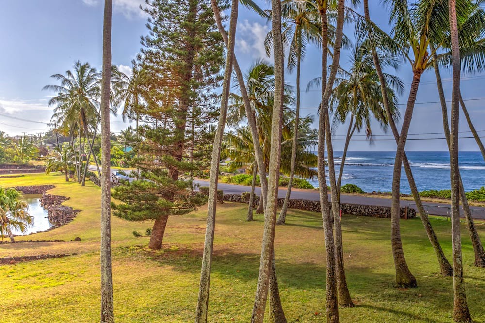 Photo of Outdoor in Poipu