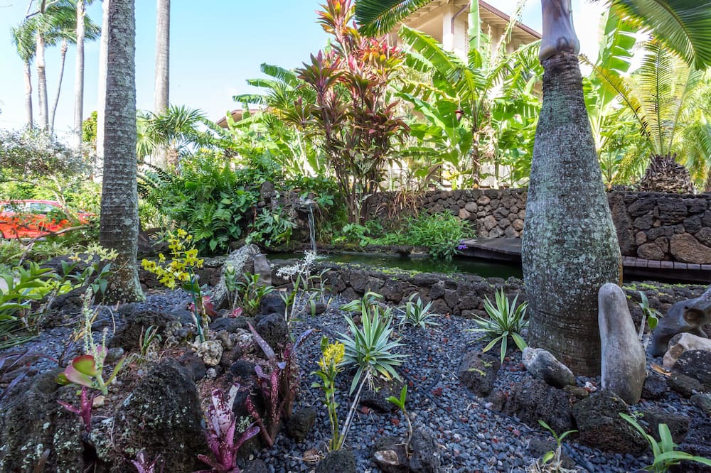 Photo of Outdoor in Poipu