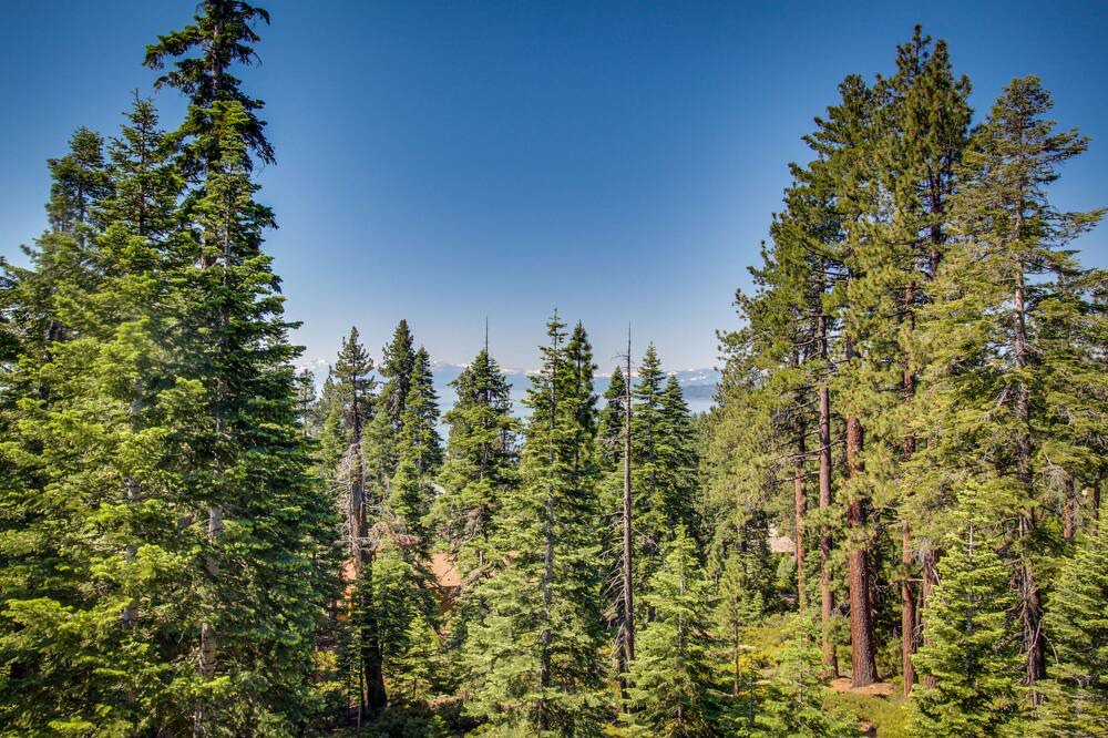 Photo of Others in Tahoe Vista