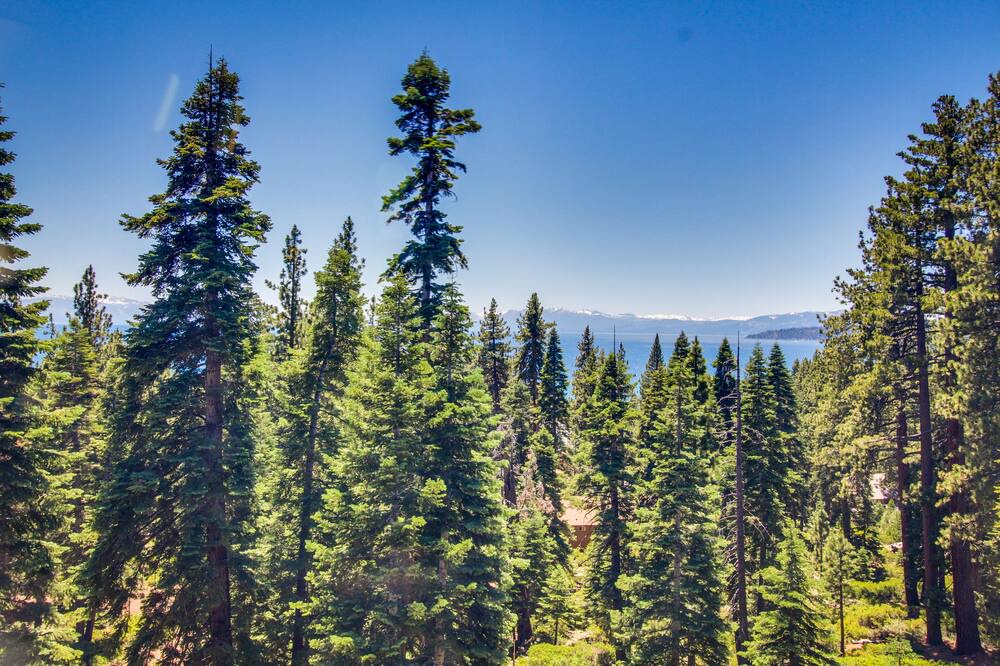 Photo of Others in Tahoe Vista