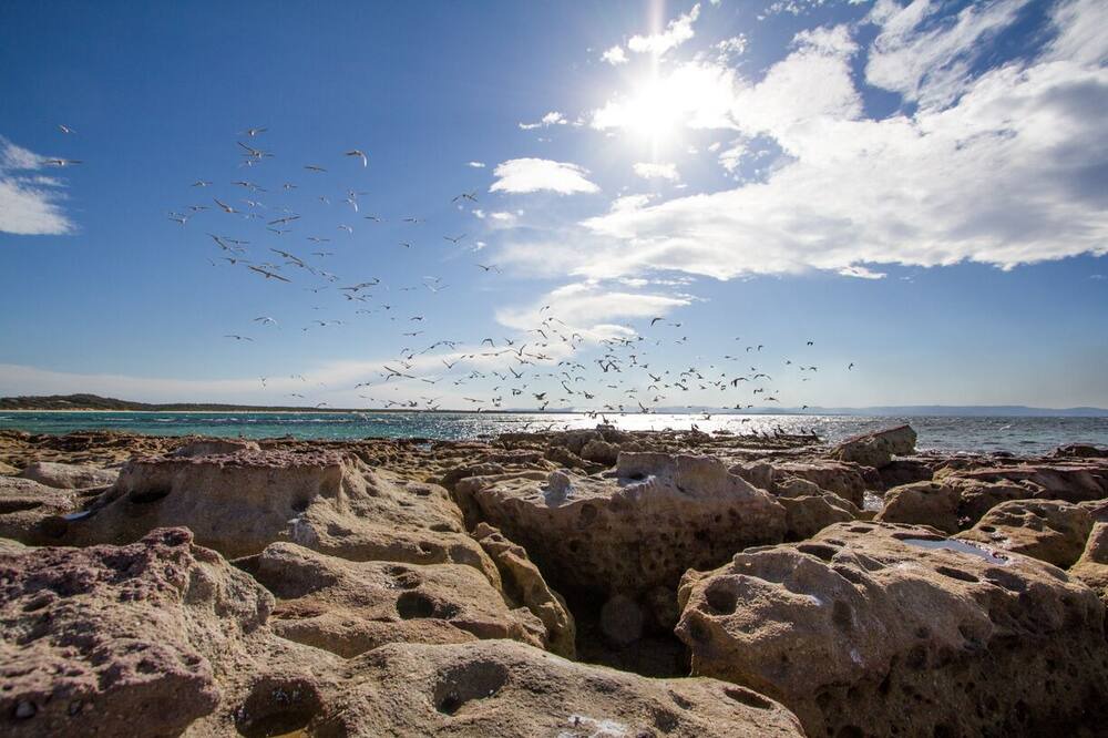 Photo of Others in Currarong