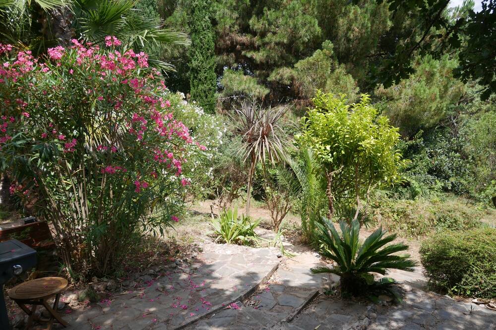 Photo of Outdoor in Thuir