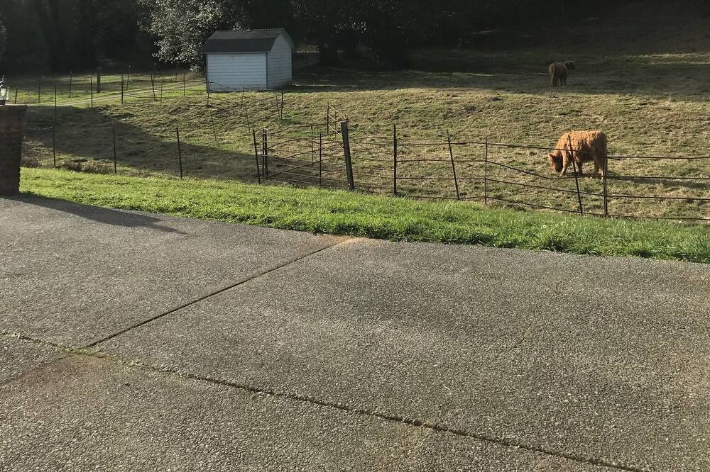 Photo of Outdoor in Brookings