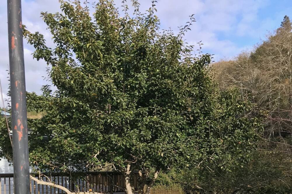 Photo of Outdoor in Brookings