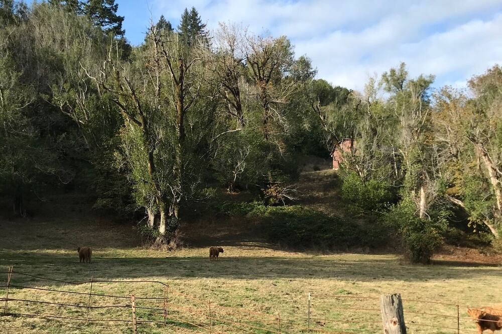 Photo of Outdoor in Brookings