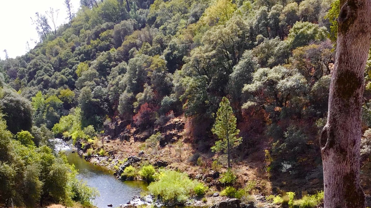 Photo of Outdoor in Auburn