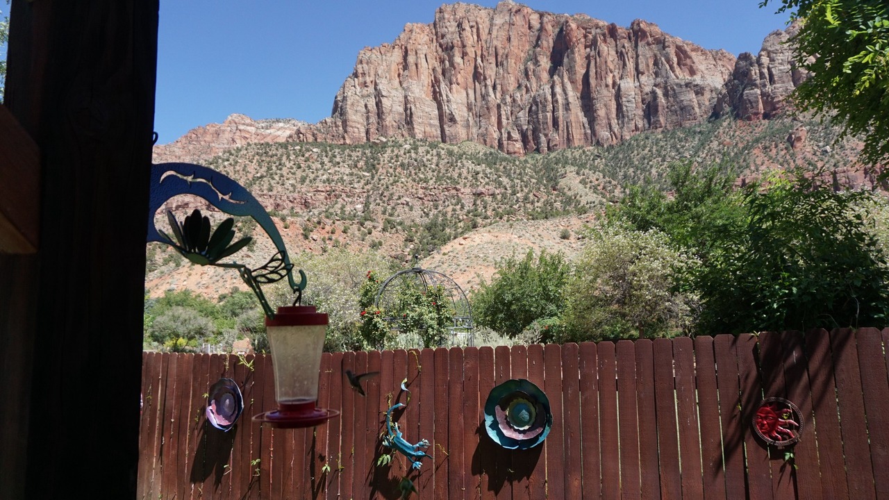 Photo of Outdoor in Zion National Park South Entrance