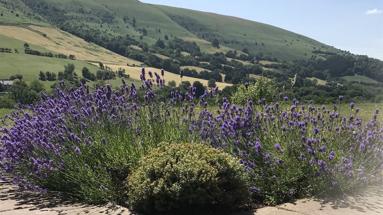 Photo of Others in Abergavenny